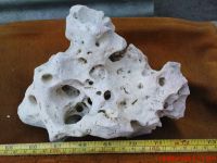 Skullrock/limestone