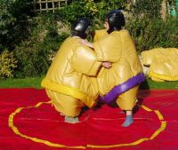 inflatable sumo / sumo suits / sumo wresting suit