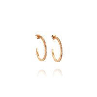 CZ Studded Hoop Earring