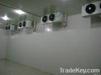 Fruit vegetable cold store room -5~+15'C with humidifier