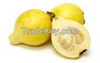 guavas ( fresh or dried )