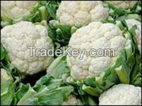 cauliflowers, headed broccoli ( fresh or chilled )