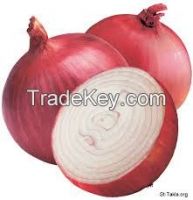 onions and shallots ( fresh or chilled )