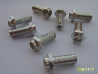 special screw