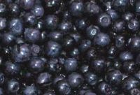 Bilberry extract 25% anthocyanidins