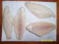 Channel catfish fillet