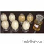Rosin glyceride