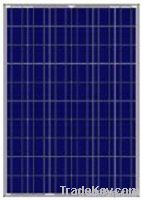 Poly Solar Module 100W