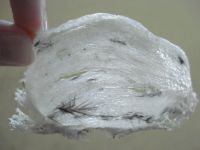 Bird Nest from Indonesia