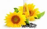 sunflower oil