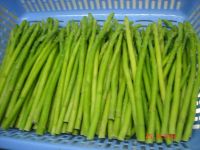 IQF green asparagus spears