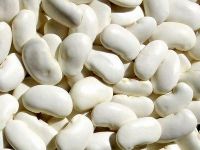 white kidney bean