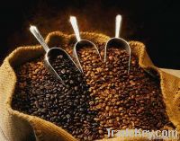 Export Coffee Beans | Coffee Bean Importer | Coffee Beans Buyer | Buy Coffee Beans | Coffee Bean Wholesaler | Coffee Bean Manufacturer | Best Coffee Bean Exporter | Low Price Coffee Beans | Best Quality Coffee Bean | Coffee Bean Supplier | Sell Coffee Bea