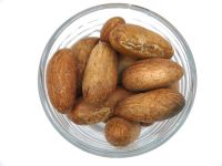 100% Organic Fresh African Bitter Kola Nuts/Garcinia kola Nuts