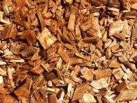 Hard wood chips from Latvia