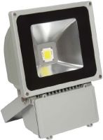 LED Flood Light