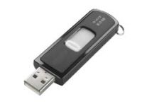 Plastic USB Flash Driver : DPUP212