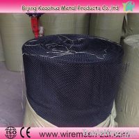 Plastic mesh for fillter
