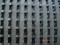 PET geogrid