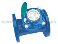 Woltman Water Meter (50mm to 400mm)