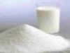 Adult Milk powder