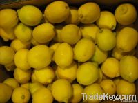 Mexican Lemon