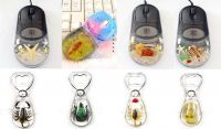 real insect in amber/resin mouse/bottle opener