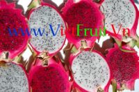 https://www.tradekey.com/product_view/Dragon-Fruit-pitaya--1670513.html