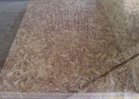 OSB CHINA