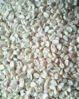 White Maize NON-GMO