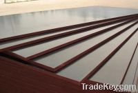 Black Film Faced Plywood for construction grade