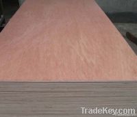 China wood Supplier Mohagany plywood used as furniture