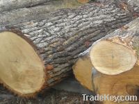 oak logs