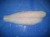 Frozen pangaisus fillet