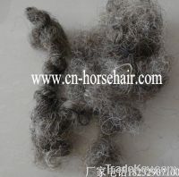 curled horse hair for mattress