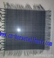 horse hair sieves