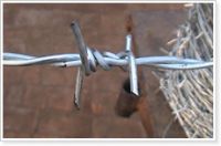 Barbed Wire