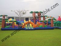 Inflatable Amusement Park