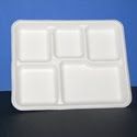Biodegradable Trays