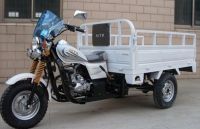 250cc/300cc Cargo Tricycle/ motor tricycle StromII