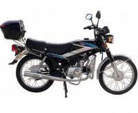 50cc/100cc/110cc/125cc Motorcycle/moped/Motorbike Little Eagle