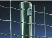 PVC coated fencing