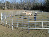 horse stall