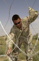 concertina wire