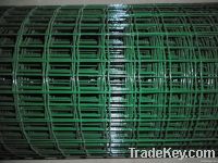 PVC coated holland wire mesh fence (direct factory)