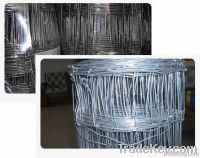 Hot dipped galvanized Hinge joint knot field fence (factory) in Minera