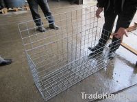 galvanized gabion wire mesh  (direct factory )