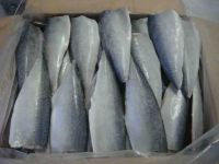 Mackerel ( Flaps and Fillets )