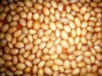 canned baked beans in tomato sauce