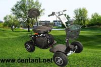 Golf cart CG-N1